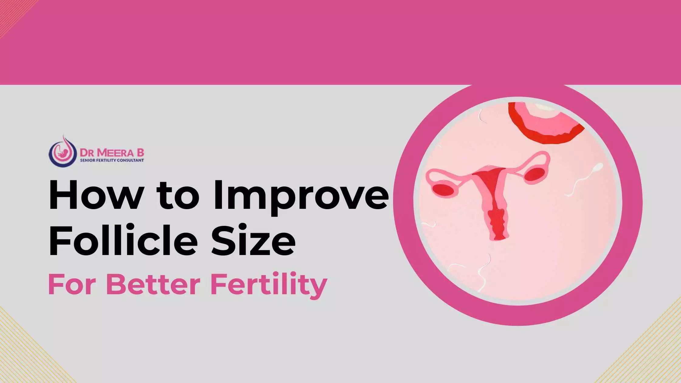 Improve Follicle Size