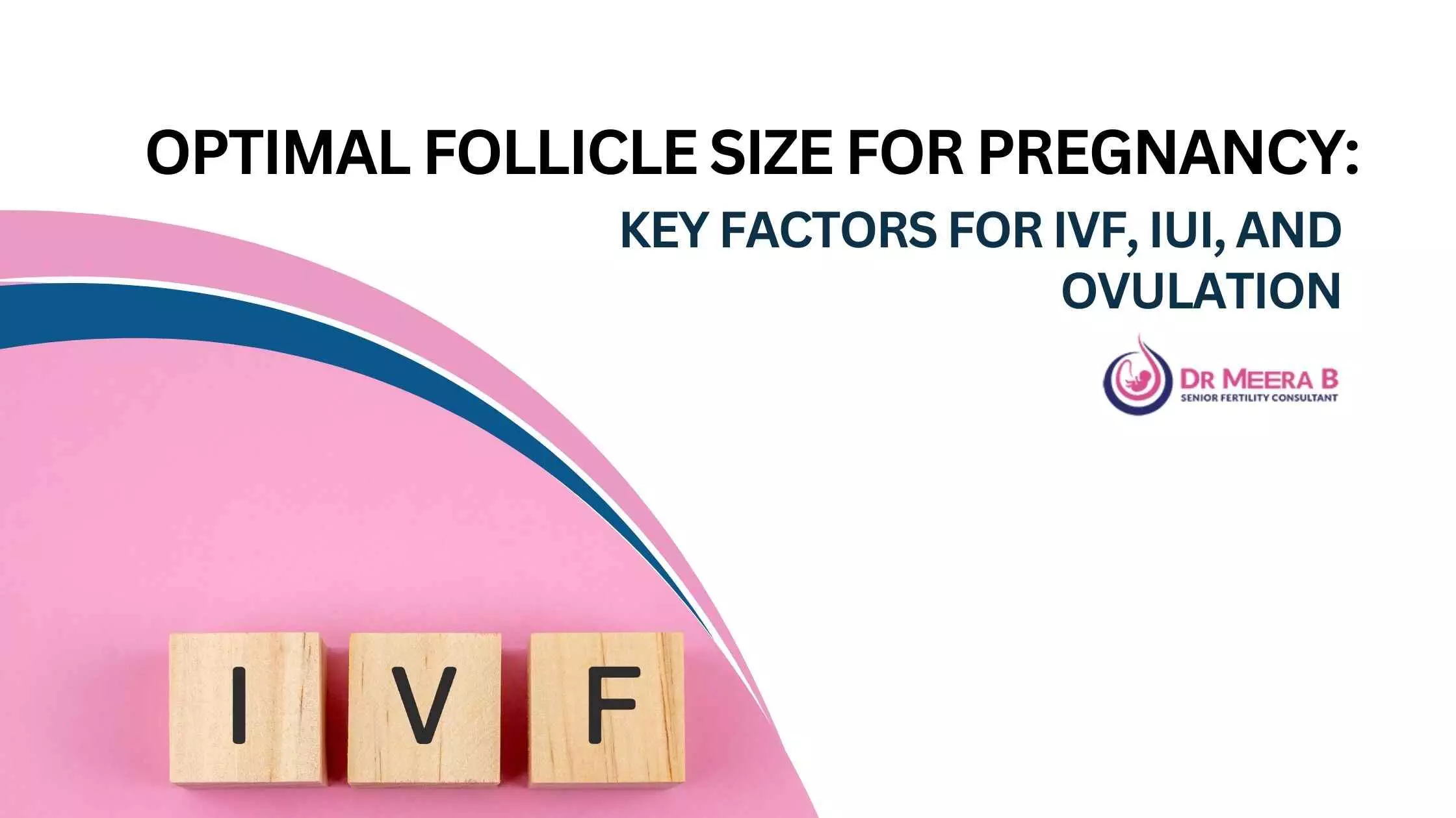 Good Size Follicle for Fertilization