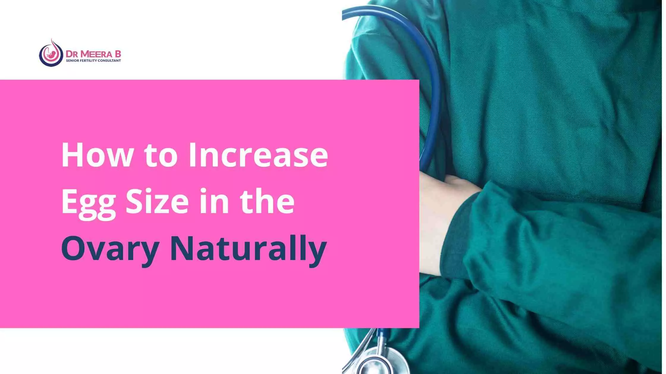 Increase Egg Size